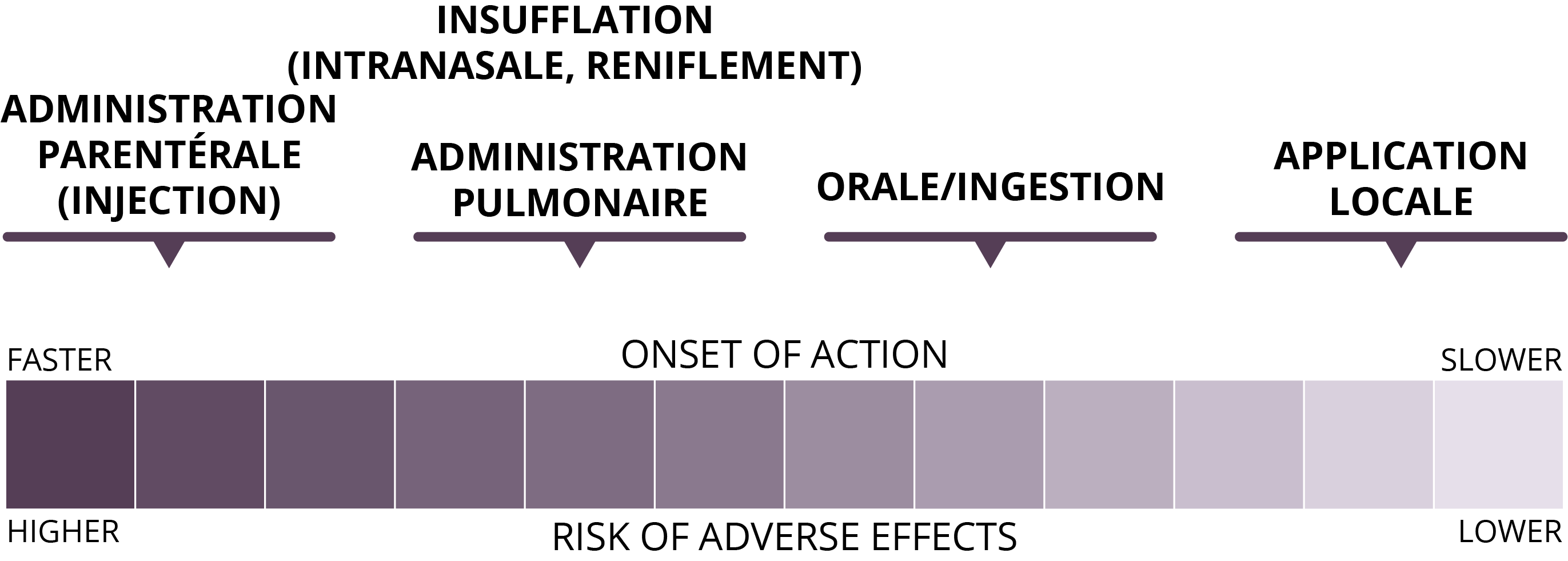 The faster the onset of action, the higher the risk of adverse effects. From fastest to slowest: parenteral (injection) administration;  insufflation (intranasal, snorting) and pulmonary administration; oral/ingestion; and topical