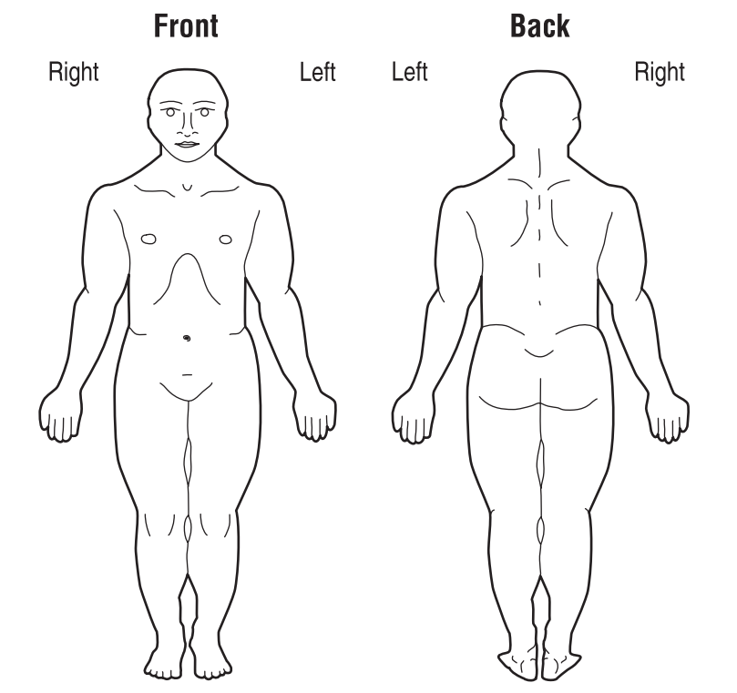 Diagram of the front and back view of the body. The front view is labeled front, the back view is labeled back. Both images has labels for left and right sides.