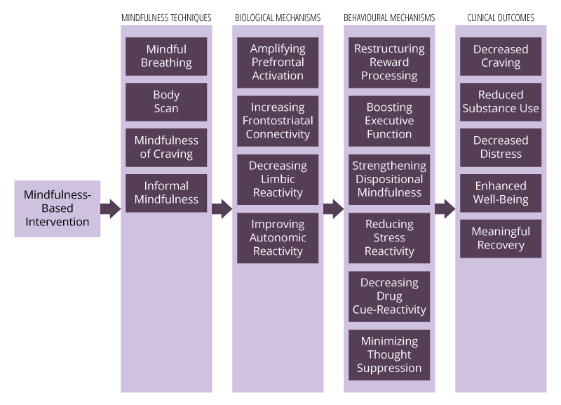 Schema detailing the effects of mindfulness-based intervention components on mechanisms and outcomes implicated in the treatment of addictive behavior.
