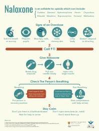 Thumbnail of Naloxone infographic