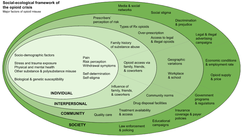 Graphic for the socio-ecological Framework