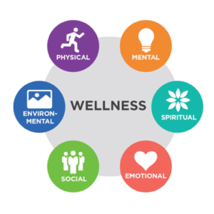Wellness is comprised of 6 dimensions: physical, mental, spiritual, emotional, social, and environmental.